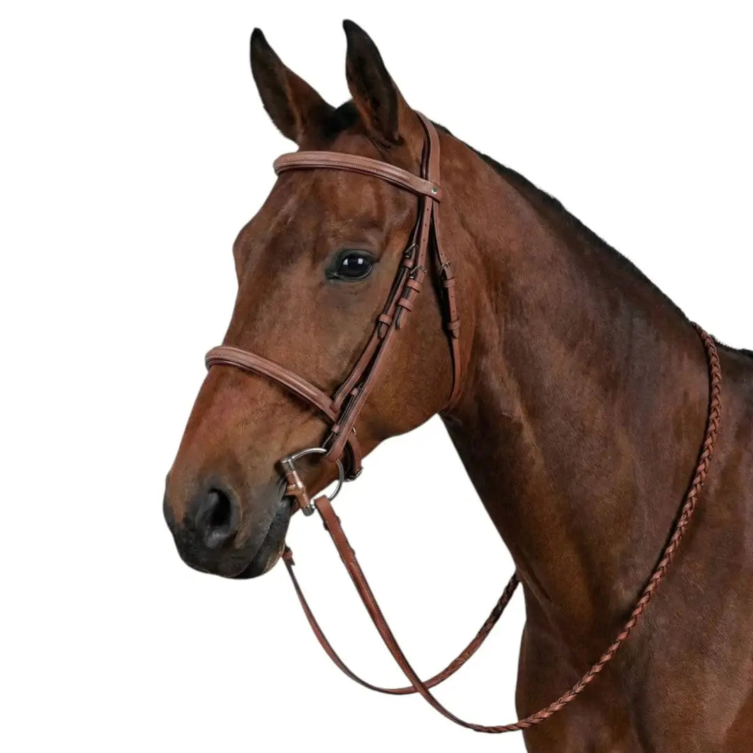 Laureate by Henri de Rivel Raised Fancy Stitched Bridle w/ Laced Reins - Breeches.com - Flyclothing LLC