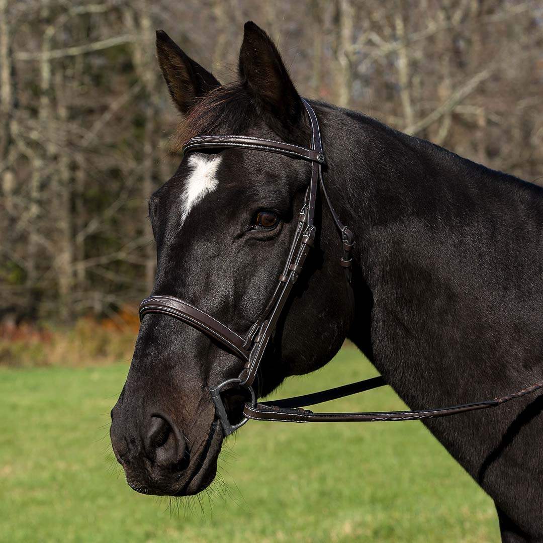 Henri de Rivel Pro Mono Crown Bridle with Padded Wide Noseband with Laced Reins - Breeches.com - Flyclothing LLC