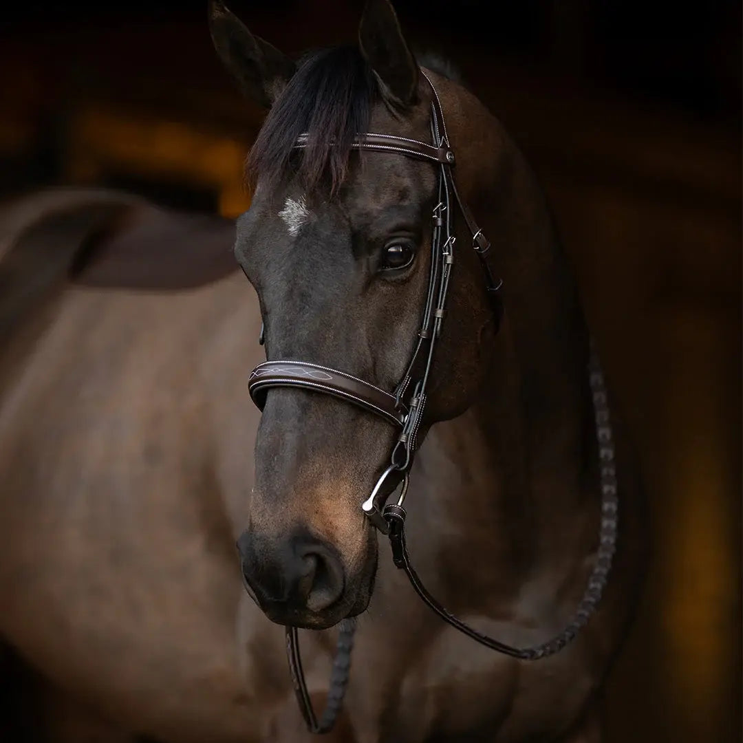 Henri de Rivel Pro Mono Crown Bridle with Padded Wide Noseband with Laced Reins - Breeches.com - Flyclothing LLC