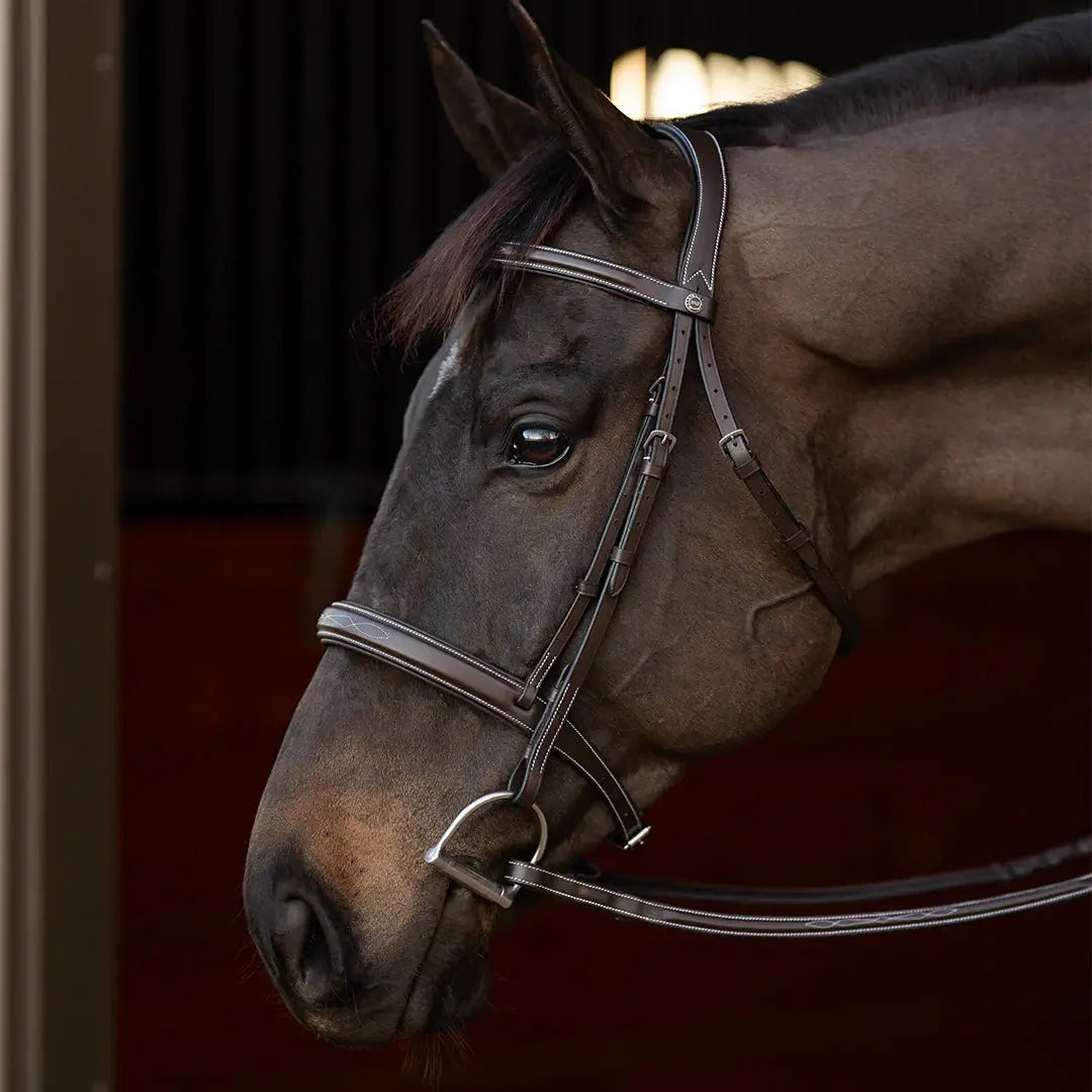 Henri de Rivel Pro Mono Crown Bridle with Padded Wide Noseband with Laced Reins - Breeches.com - Flyclothing LLC