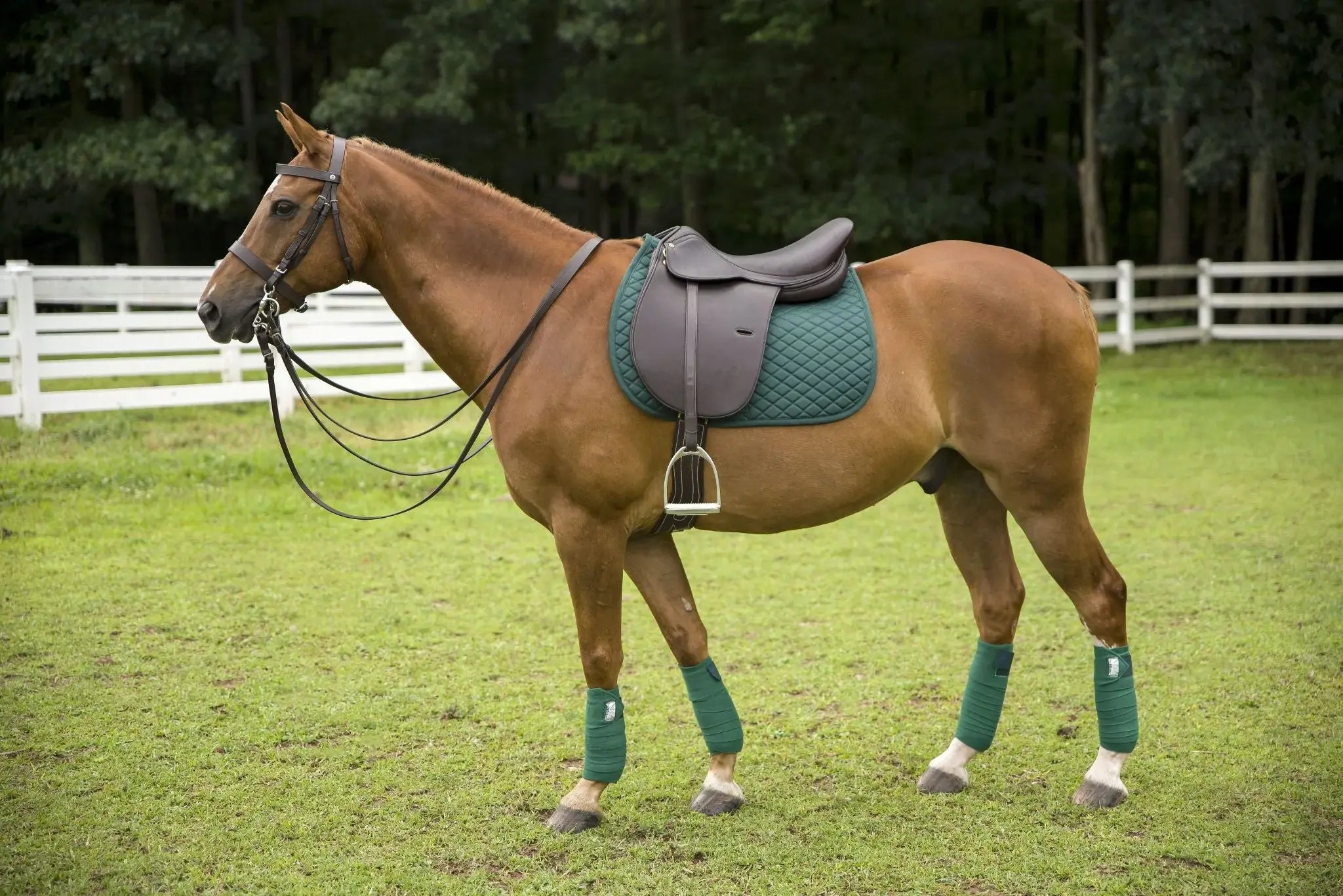 Henri De Rivel Jaipur Polo Saddle - Breeches.com - Flyclothing LLC