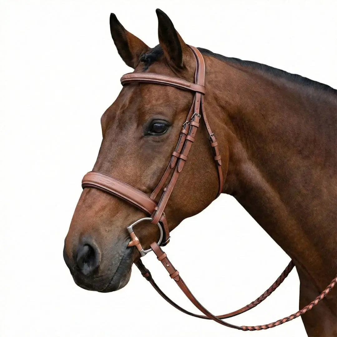 Laureate by Henri de Rivel Fancy Stitched Bridle w/ Wide Caveson and Laced Reins - Breeches.com - Flyclothing LLC
