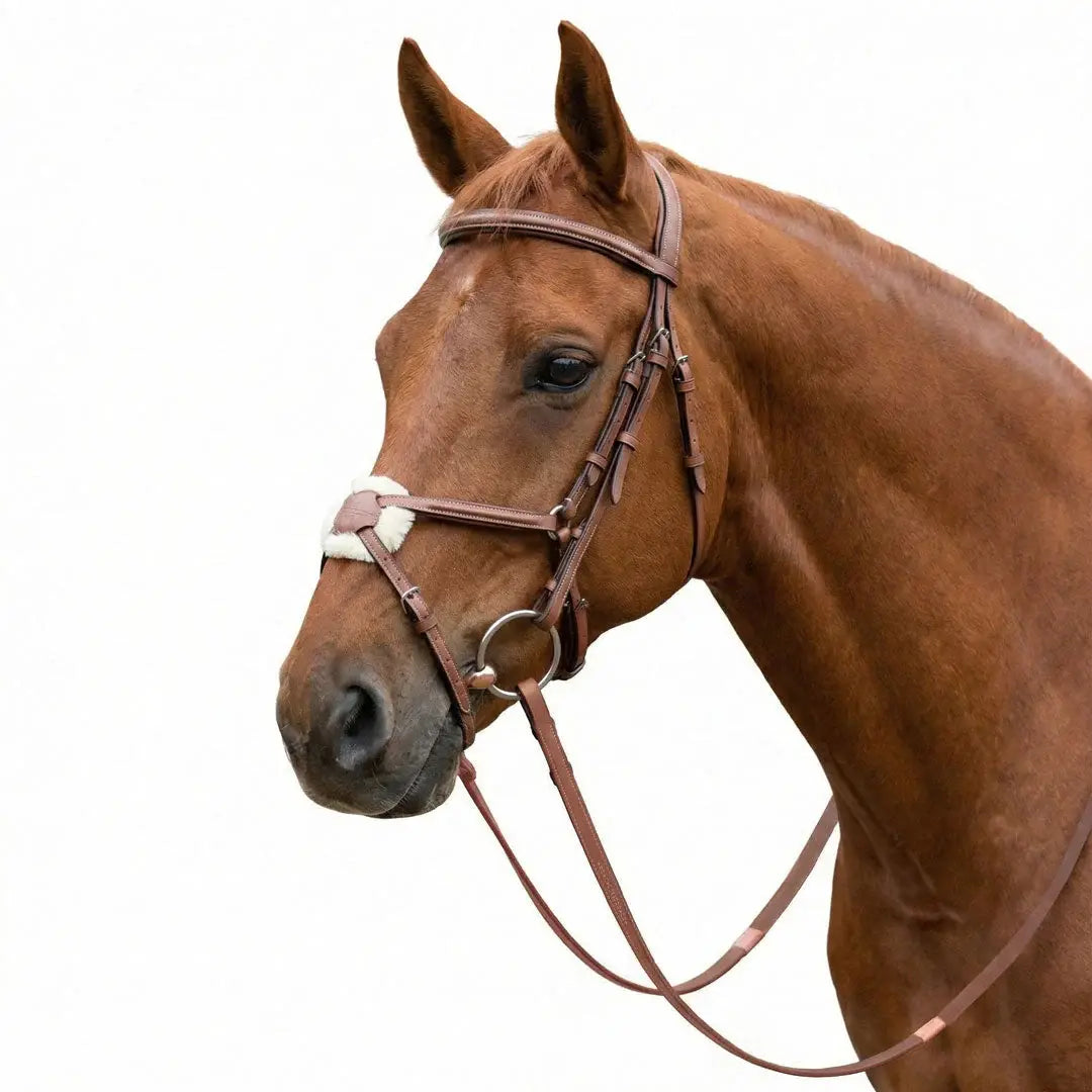 Laureate by Henri de Rivel Figure 8 Bridle w/ Rubber Reins - Breeches.com - Flyclothing LLC