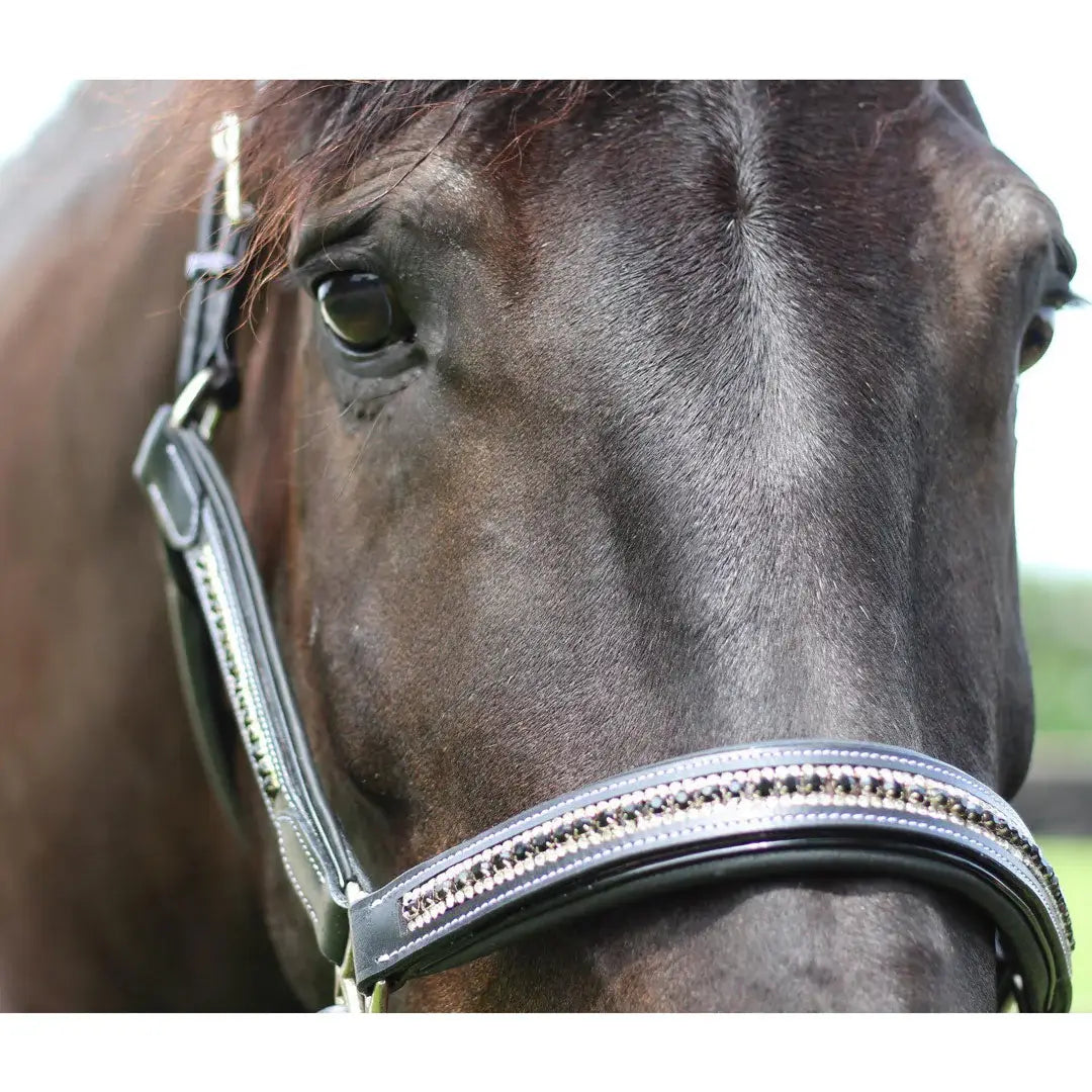 Henri de Rivel Padded Jewel Halter - Breeches.com - Flyclothing LLC