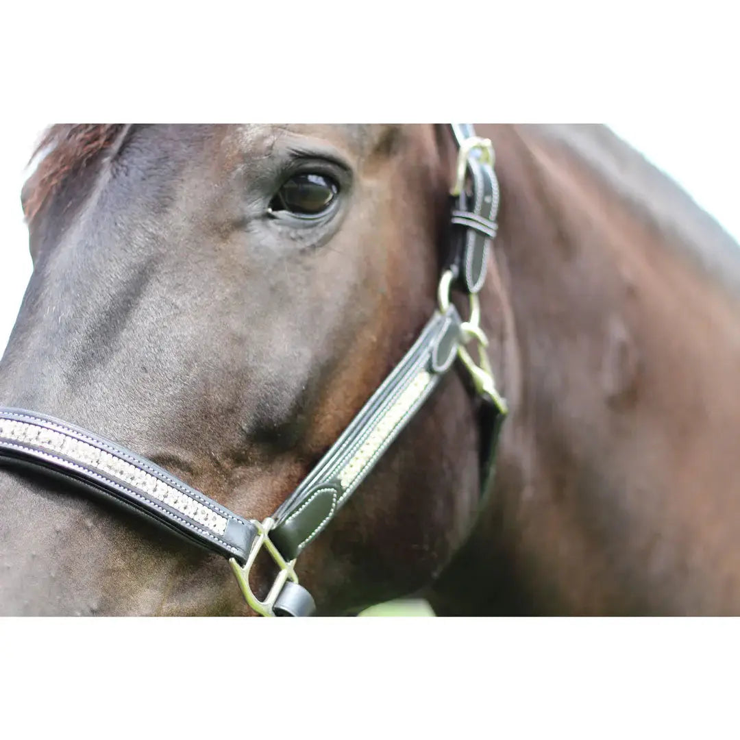 Henri de Rivel Padded Jewel Halter - Breeches.com - Flyclothing LLC