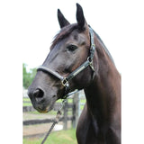 Henri de Rivel Padded Jewel Halter - Breeches.com - Flyclothing LLC