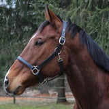 Henri de Rivel Everyday Halter - Breeches.com - Flyclothing LLC
