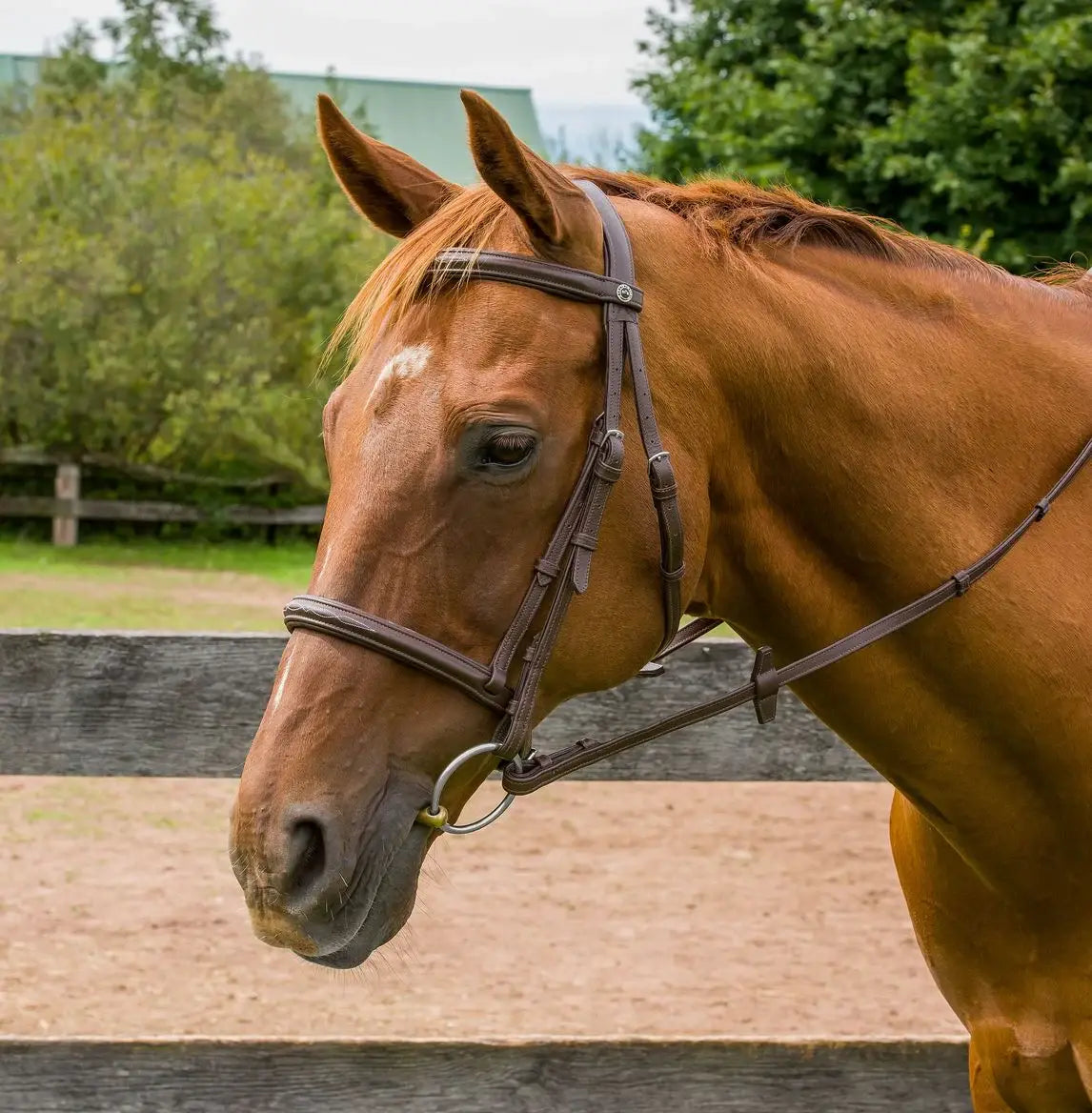 Henri de Rivel Kushy Raised Fancy Stitched Bridle - Breeches.com - Flyclothing LLC