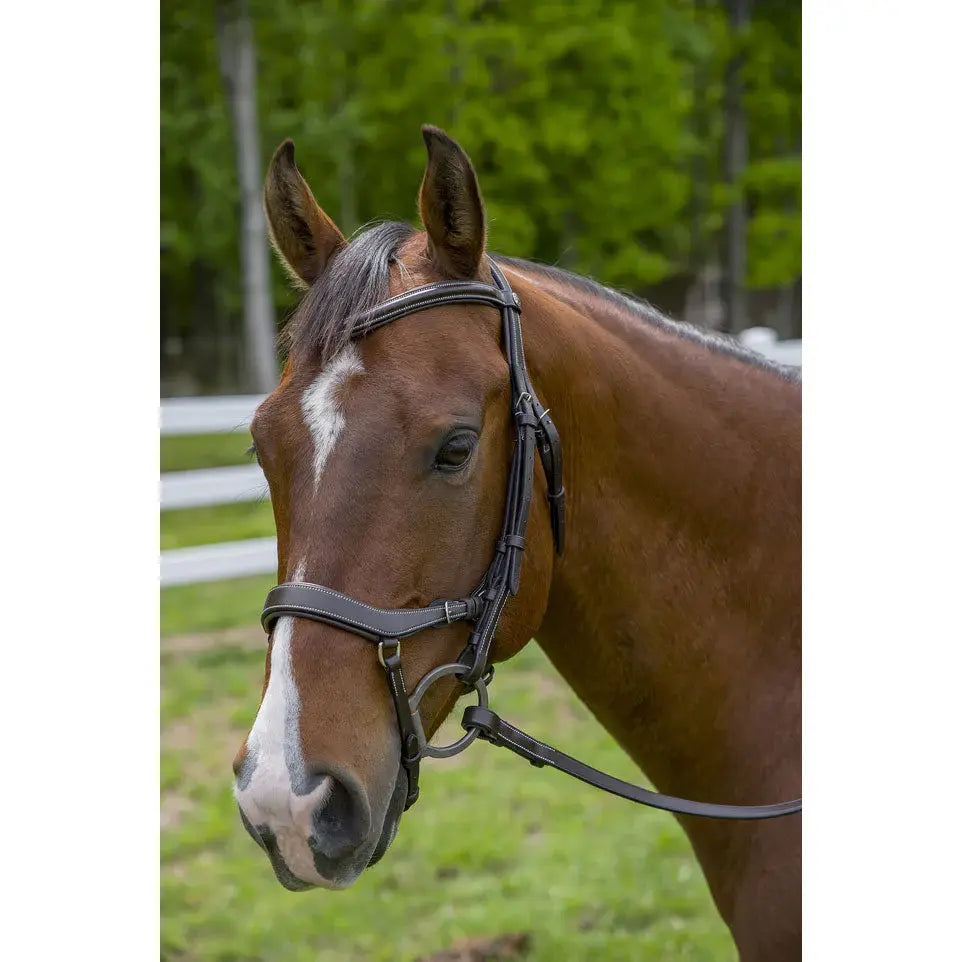 Henri de Rivel Pro Anatomical Bridle - Breeches.com - Flyclothing LLC