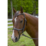 Henri de Rivel Pro Anatomical Bridle - Breeches.com - Flyclothing LLC