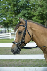 Henri de Rivel Pro Anatomical Bridle - Breeches.com - Flyclothing LLC