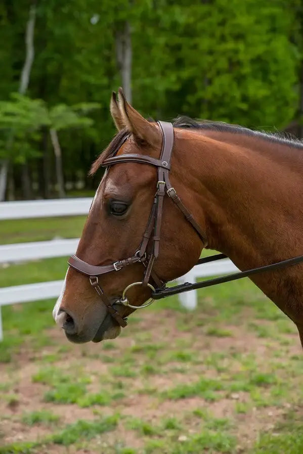 Henri de Rivel Pro Anatomical Bridle - Breeches.com - Flyclothing LLC