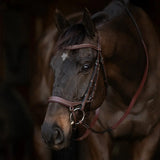 Henri de Rivel Pro Anatomical Bridle - Breeches.com - Flyclothing LLC