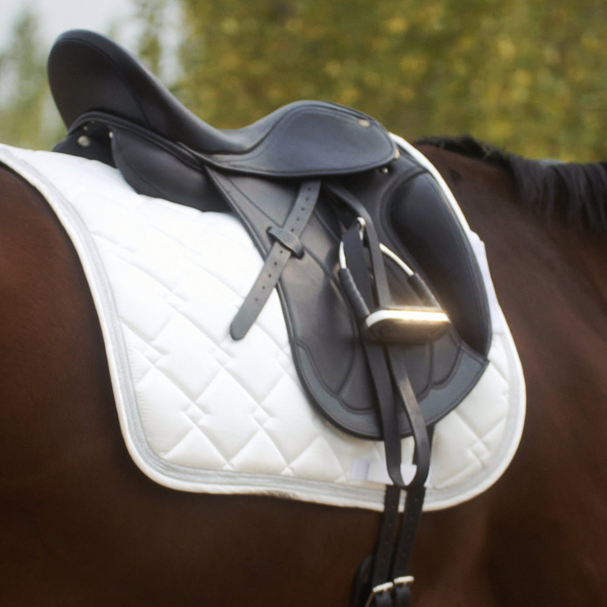 Henri De Rivel Parisian Monoflap IGP Dressage Saddle - Breeches.com - Flyclothing LLC