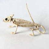 Halloween Decoration Artificial Animal Skeleton - My Store - Flyclothing LLC