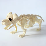 Halloween Decoration Artificial Animal Skeleton - My Store - Flyclothing LLC