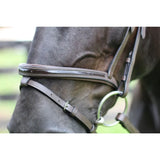 Henri de Rivel Pro Piaffe Mono Crown Bridle with Flash Noseband with Patent Leather - Breeches.com - Flyclothing LLC