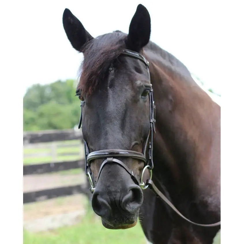 Henri de Rivel Pro Piaffe Mono Crown Bridle with Flash Noseband with Patent Leather - Breeches.com - Flyclothing LLC