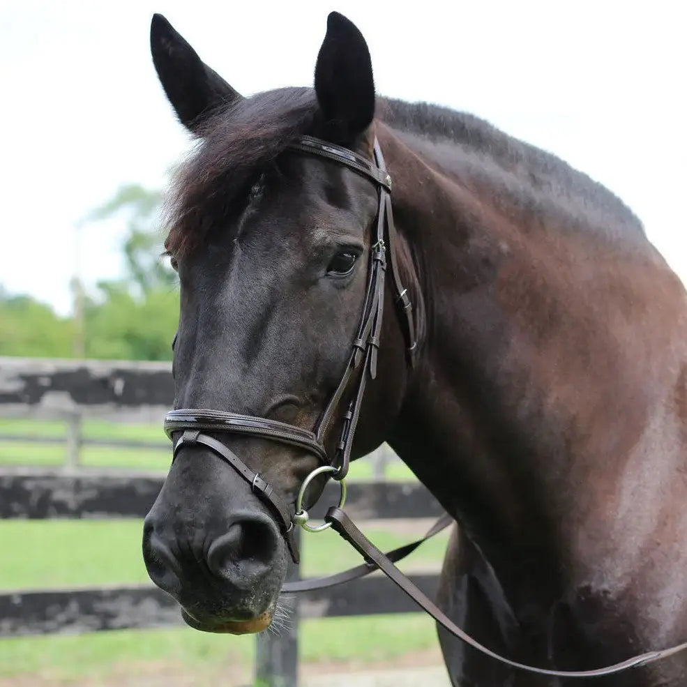 Henri de Rivel Pro Piaffe Mono Crown Bridle with Flash Noseband with Patent Leather - Breeches.com - Flyclothing LLC