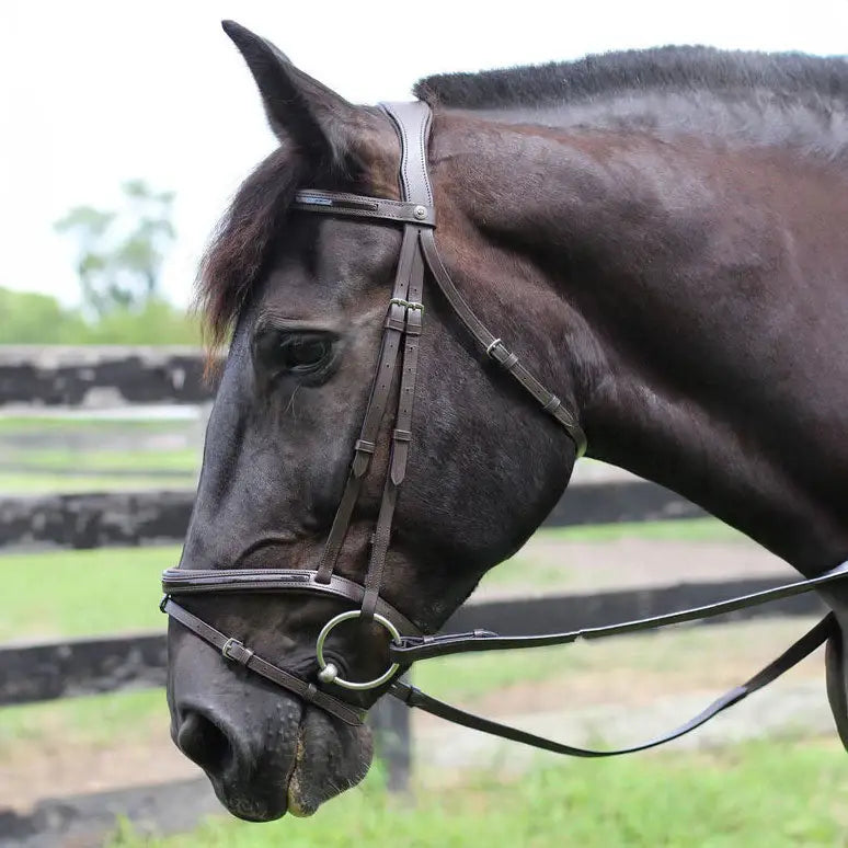 Henri de Rivel Pro Piaffe Mono Crown Bridle with Flash Noseband with Patent Leather - Breeches.com - Flyclothing LLC