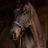 Henri de Rivel Padded Crystal Halter - Breeches.com - Flyclothing LLC
