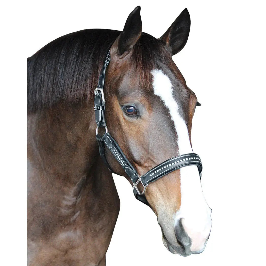 Henri de Rivel Padded Crystal Halter - Breeches.com - Flyclothing LLC