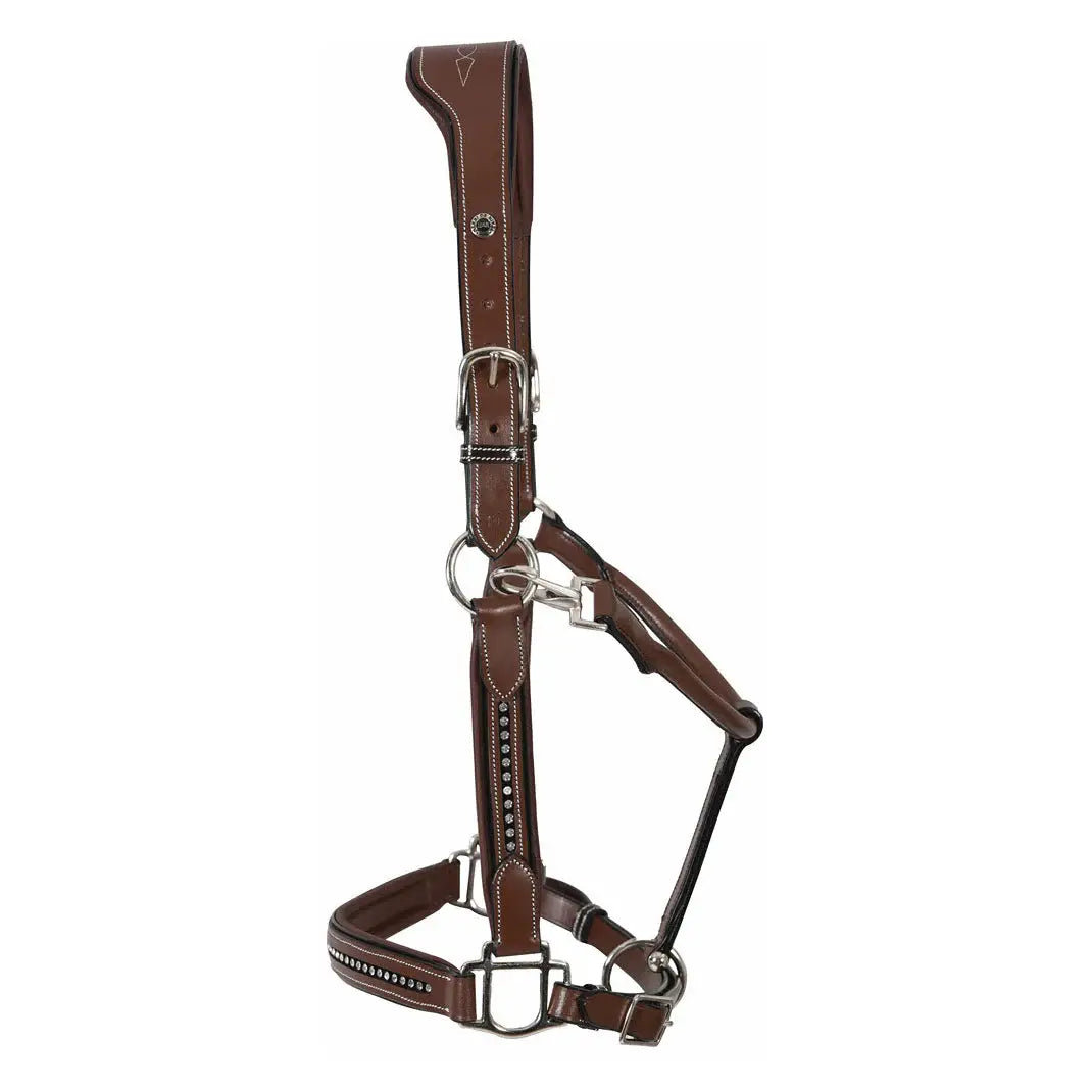 Henri de Rivel Padded Crystal Halter - Breeches.com - Flyclothing LLC