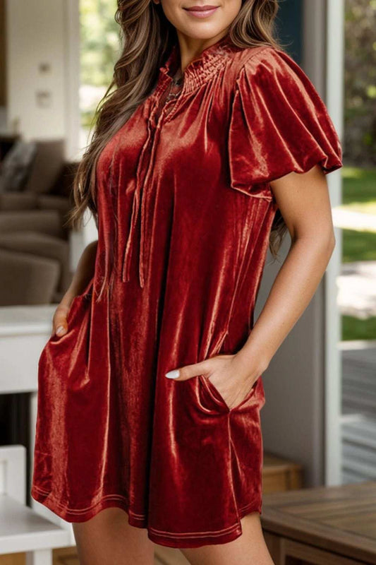 Velvet Tie Neck Short Sleeve Mini Dress - Trendsi - Flyclothing LLC