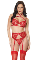 Scarlette Bra, Garter Belt & G-String - COQUETTE - Flyclothing LLC