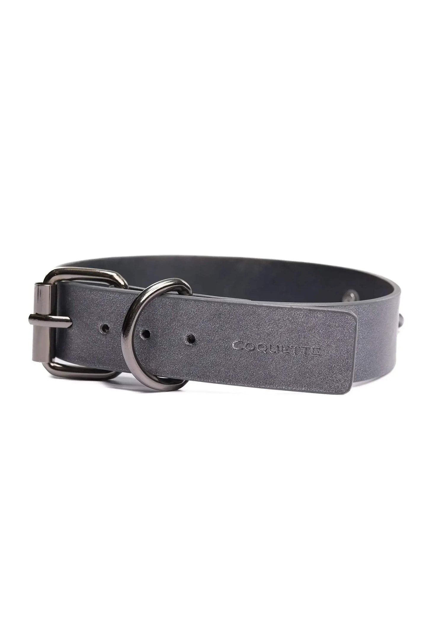Gunmetal Glam Collar & Leash - COQUETTE - Flyclothing LLC