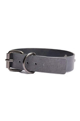 Gunmetal Glam Collar & Leash - COQUETTE - Flyclothing LLC