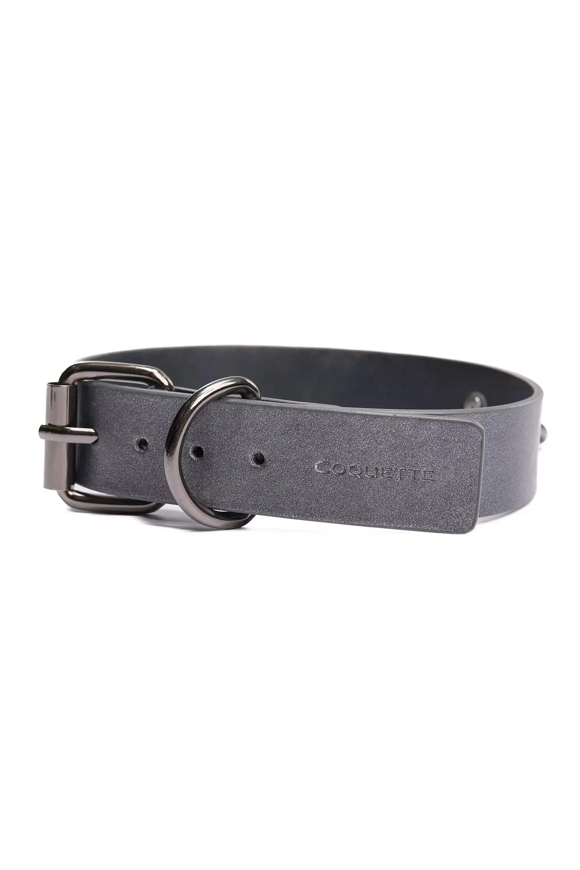 Gunmetal Glam Collar & Leash - COQUETTE - Flyclothing LLC