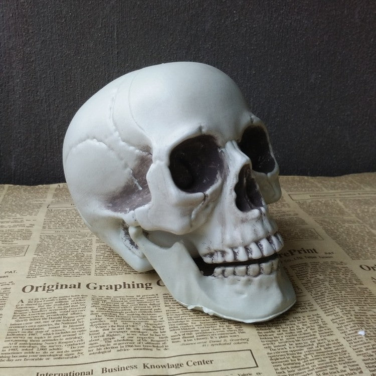 Halloween Decoration Artificial Skull - My Store - Flyclothing LLC