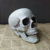 Halloween Decoration Artificial Skull - My Store - Flyclothing LLC