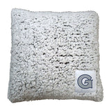 Georgetown Campus Colors Frosty Throw Pillow - Logo Brands - Flyclothing LLC