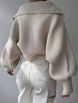 Johnny Collar Long Sleeve Sweater - Trendsi - Flyclothing LLC