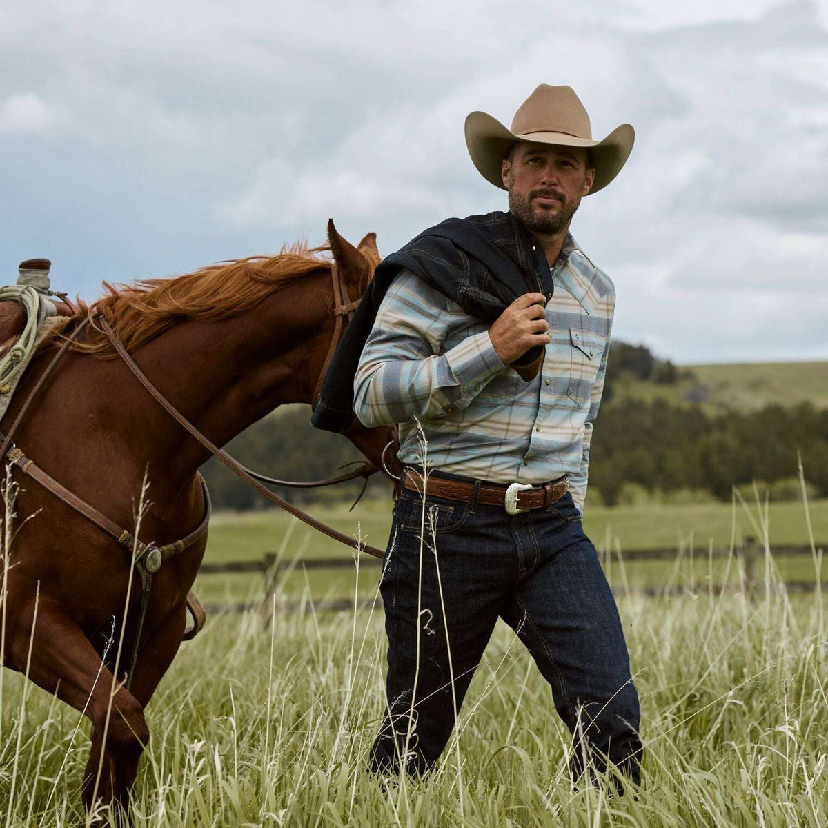 Stetson Ombre Stripe Western Shirt - Blue