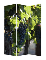 48" X 72" Multi Color Wood Canvas Wine Country Screen - Homeroots - Flyclothing LLC