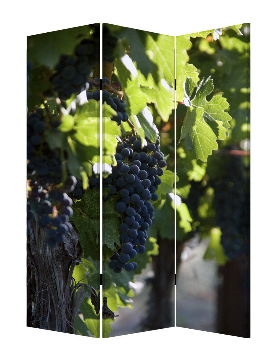 48" X 72" Multi Color Wood Canvas Wine Country Screen - Homeroots - Flyclothing LLC