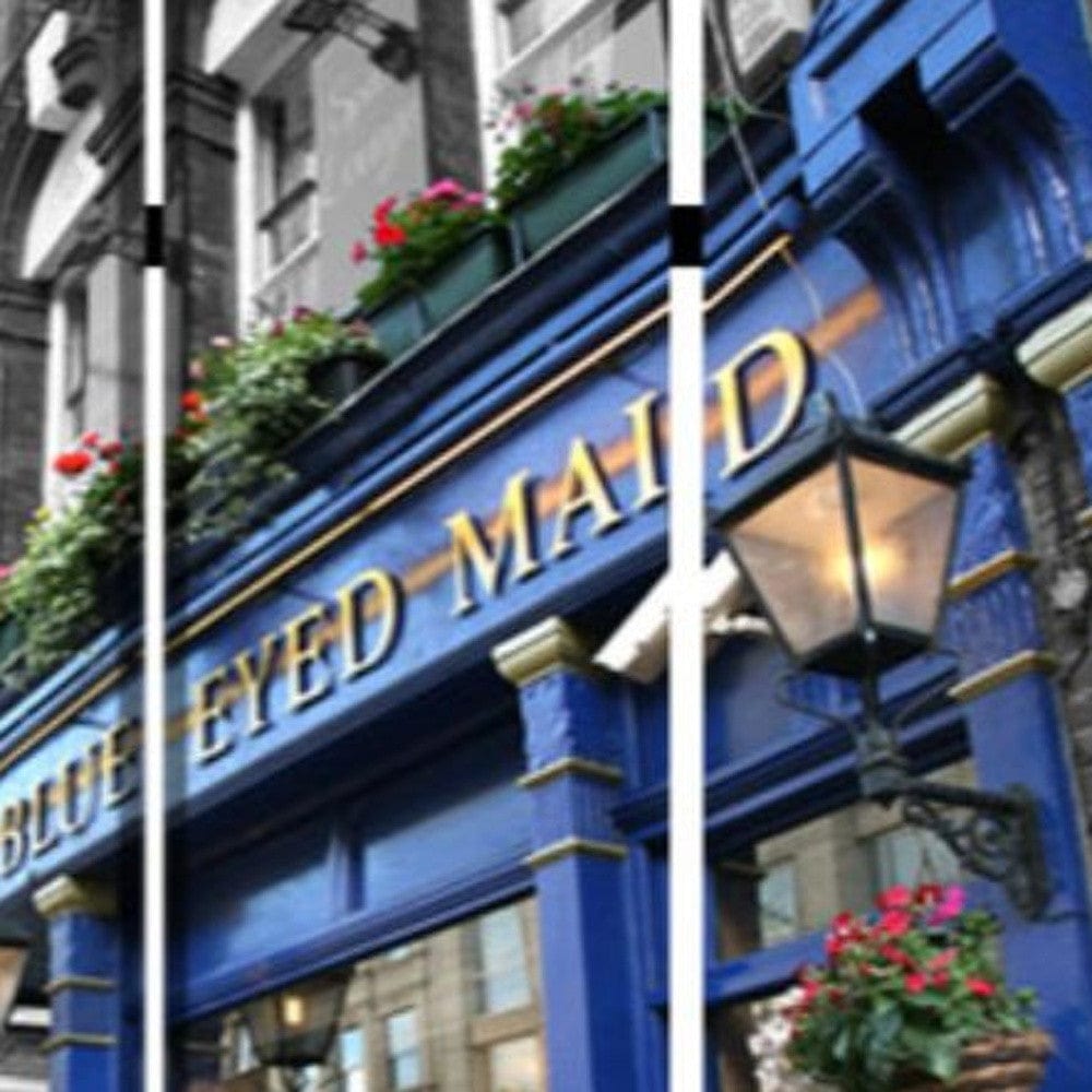 48" X 72" Multi Color Wood Canvas The Blue Eyed  Screen - Homeroots