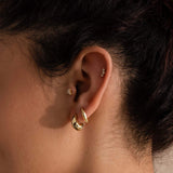 Gold-plated V Shaped Earrings - My Store - Flyclothing LLC