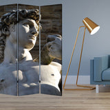 48" X 72" Multi Color Wood Canvas Rome  Screen - Homeroots