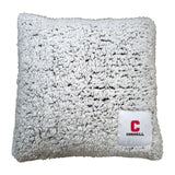 Cornell Frosty Pillow