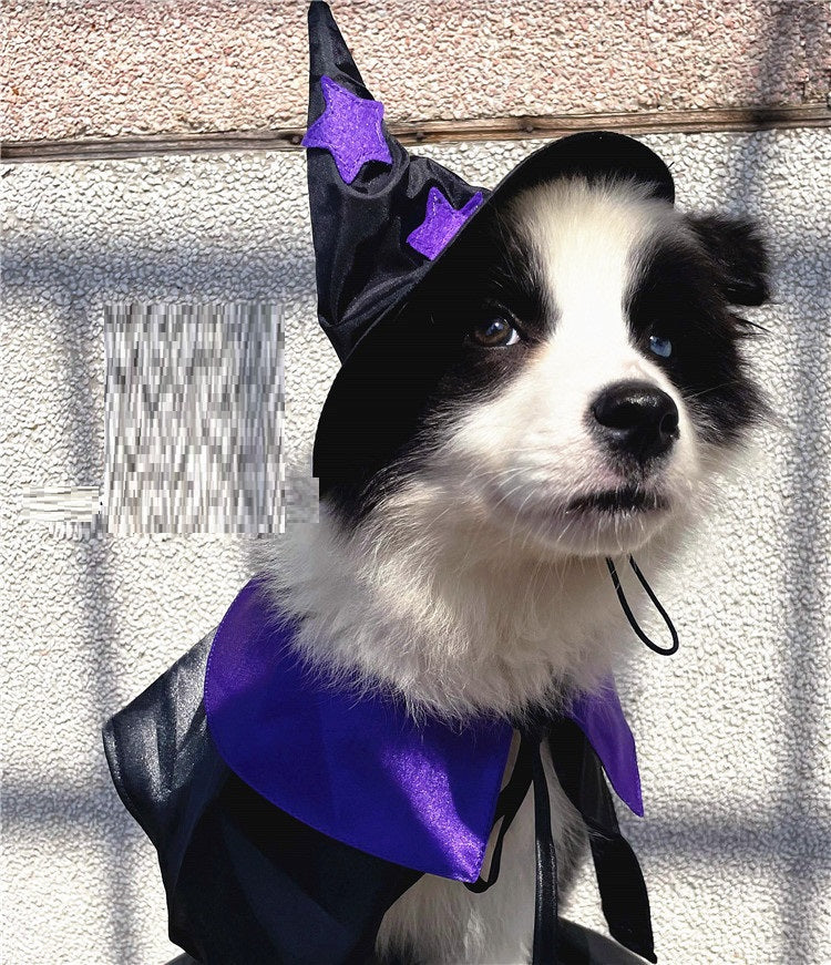 Pet Halloween Wizard Dressup Decoration Set - My Store - Flyclothing LLC