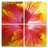 Set Of Four Print Wall Art - Homeroots - Flyclothing LLC