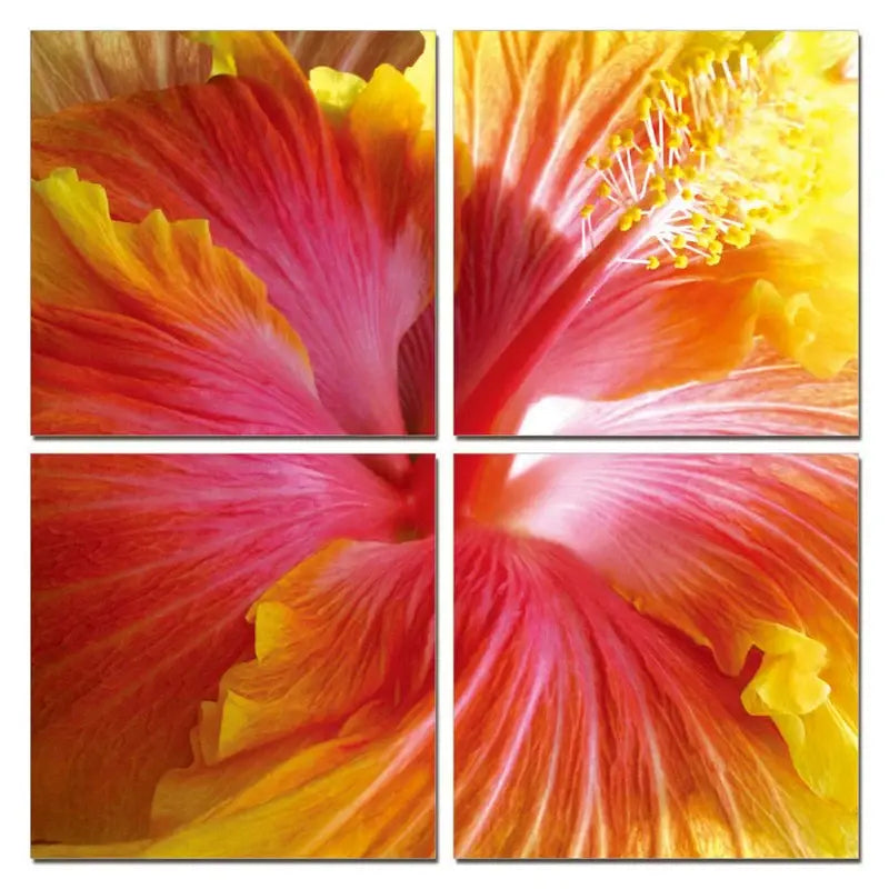 Set Of Four Print Wall Art - Homeroots - Flyclothing LLC
