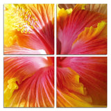 Set Of Four Print Wall Art - Homeroots - Flyclothing LLC