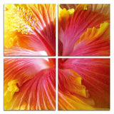 Set Of Four Print Wall Art - Homeroots - Flyclothing LLC