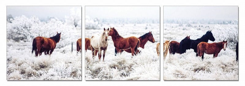 24" Multicolor Canvas 3 Horizontal Panels Horses Photo - Homeroots - Flyclothing LLC