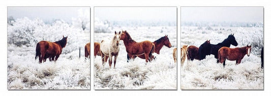 24" Multicolor Canvas 3 Horizontal Panels Horses Photo - Homeroots